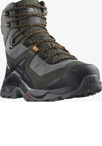 Scarpe SALOMON Quest Element GTX peltro/beluga/pelle di daino