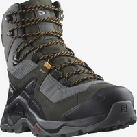 SALOMON sko Quest Element GTX pewter/beluga/buckskin