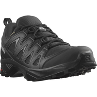 Scarpe SALOMON X Braze GTX nero