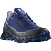 Buty SALOMON Alphacross 5 GTX blue print/lapis blue/white