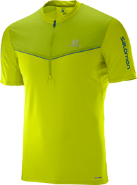 SALOMON särk SS Fast Wing HZ Tee roheline