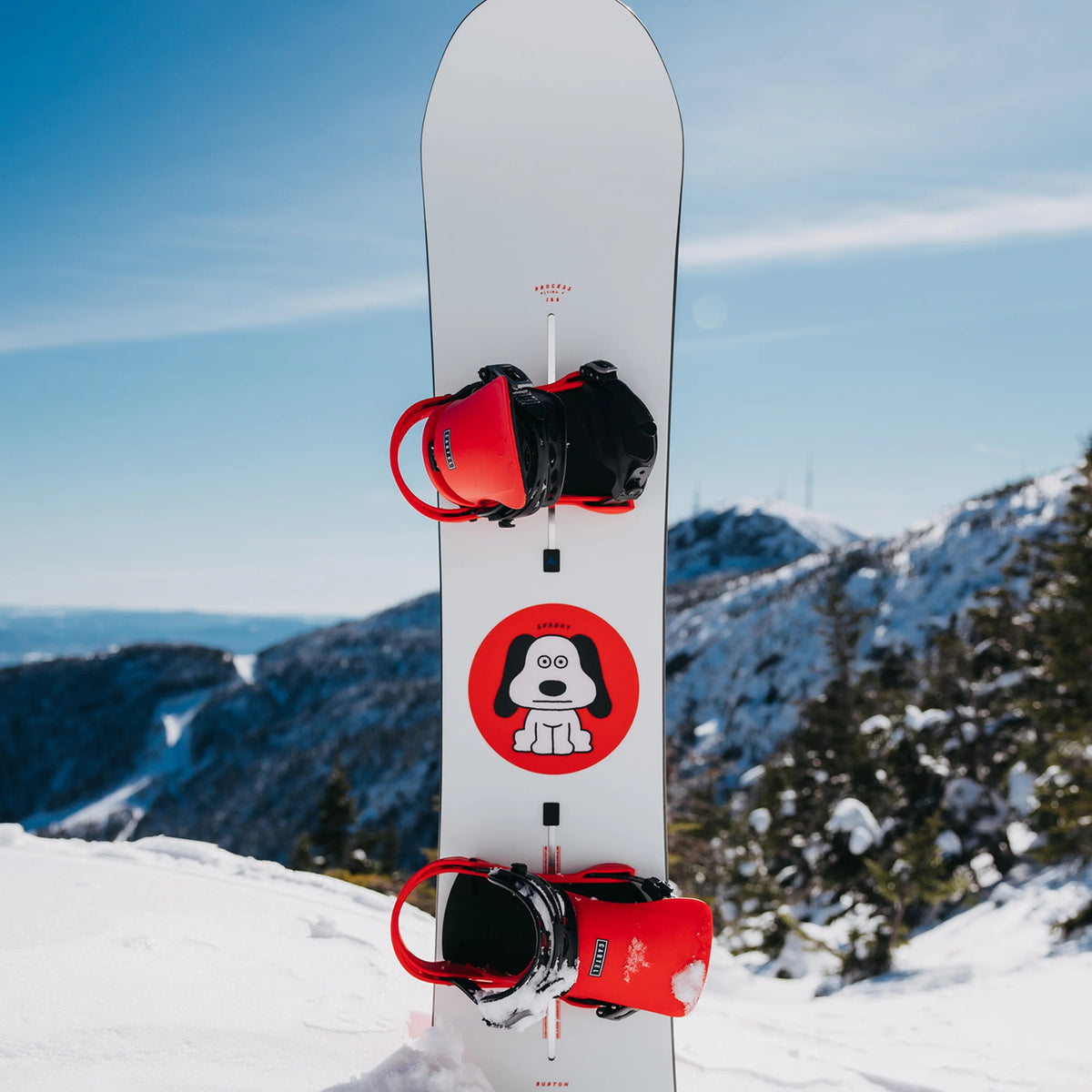 BURTON Process Wide good dog snowboard