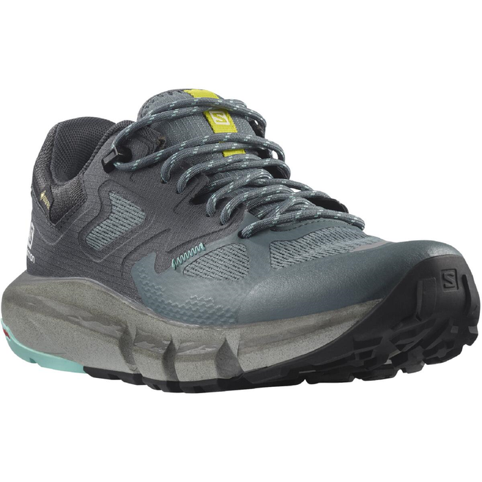 SALOMON buty Predict Hike GTX W szary/niebieski