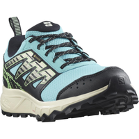 SALOMON sko Wander GTX W blå/grøn/sort