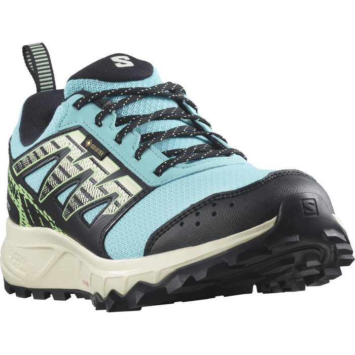 SALOMON buty Wander GTX W niebieski/zielony/czarny