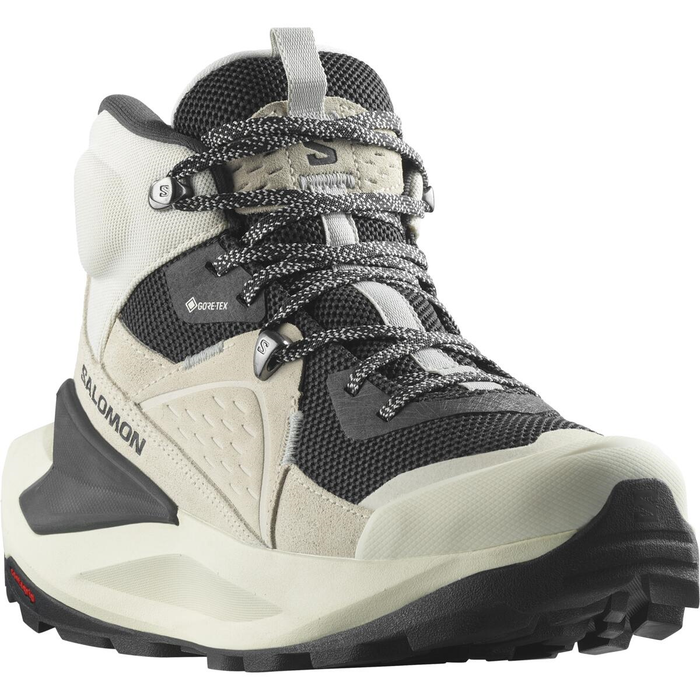 SALOMON jalanõud Elixir Mid GTX W vanilla ice/phantom/metal