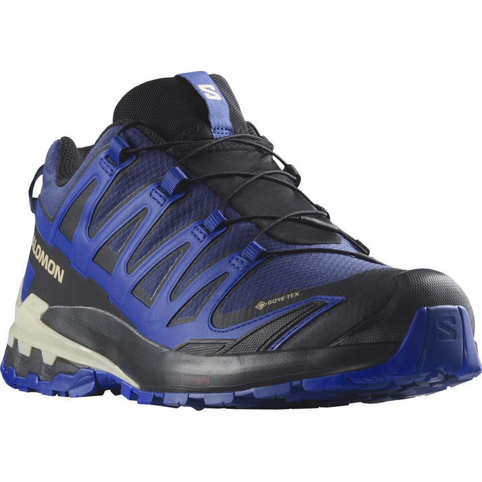 SALOMON chaussures XA Pro 3D V9 GTX bleu/noir