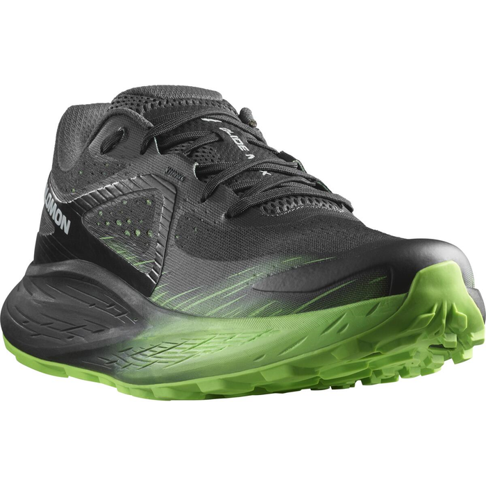 Chaussures SALOMON Glide Max TR noir/vert