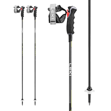 Bâtons LEKI Carbon 12 3D noir