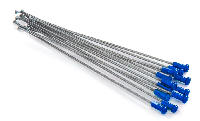 KITE Speichensatz 19" Speiche silber/Nippel blau 12 Stk.