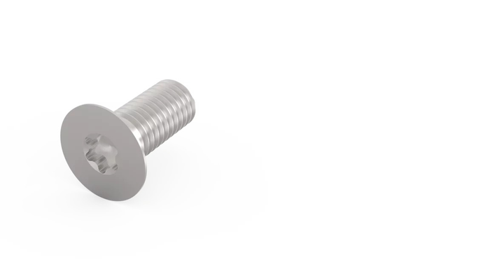 VHM screw M5x16 10642-8.8 flathead Torx