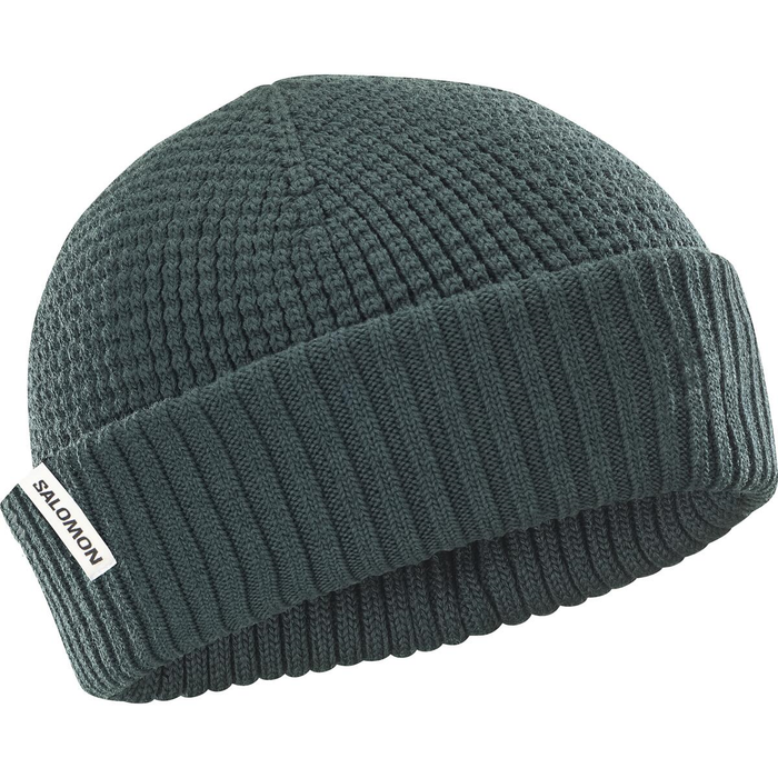 SALOMON Docker Beanie green gables