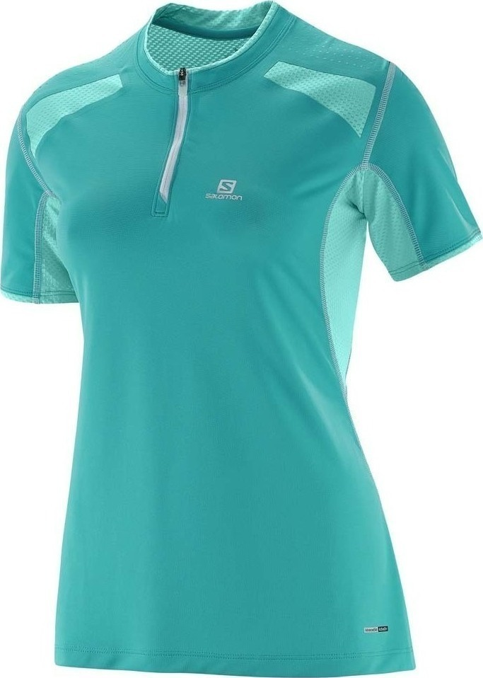 SALOMON T-shirt SS Fast Wing HZ Tee W blå