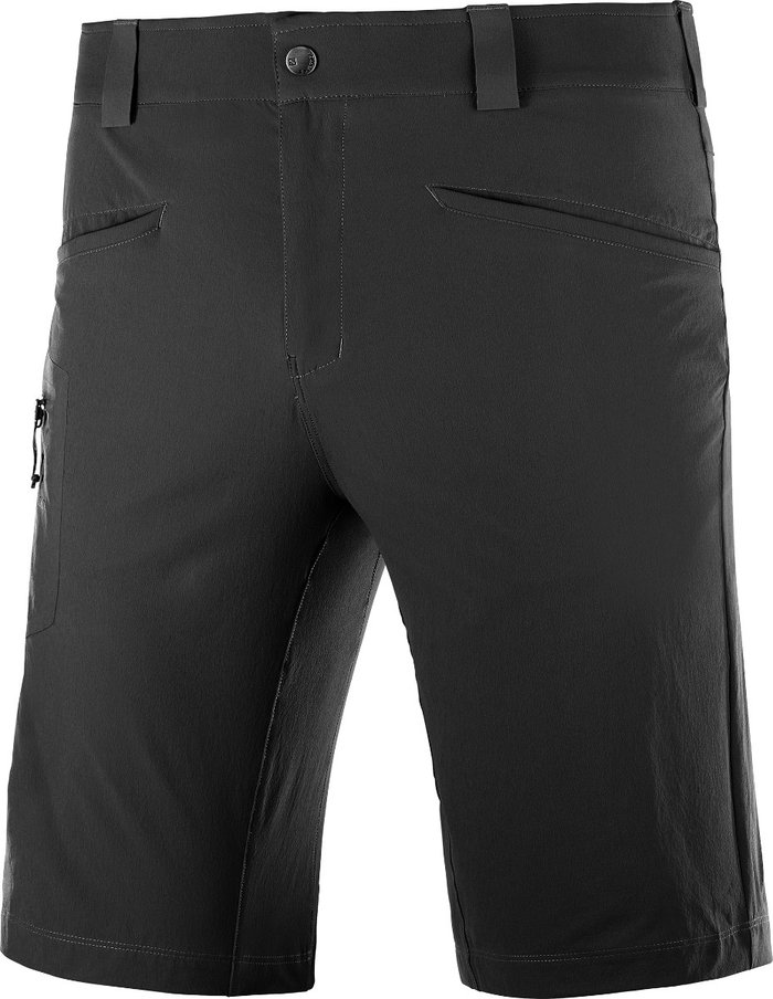 SALOMON Wayfarer Shorts black