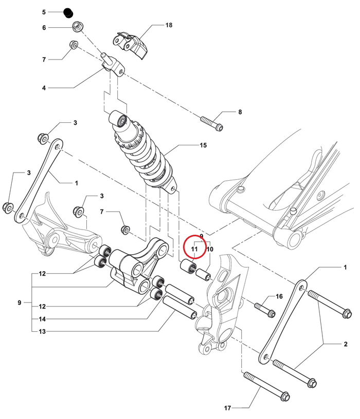 MV AGUSTA adatinis guolis galinės pakabos svirčiuje HK1626/LL/3 B3/F3