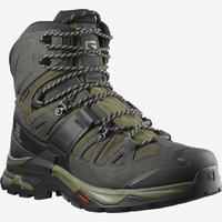 SALOMON jalanõud Quest 4 GTX roheline/must