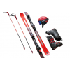 Alpineskiën