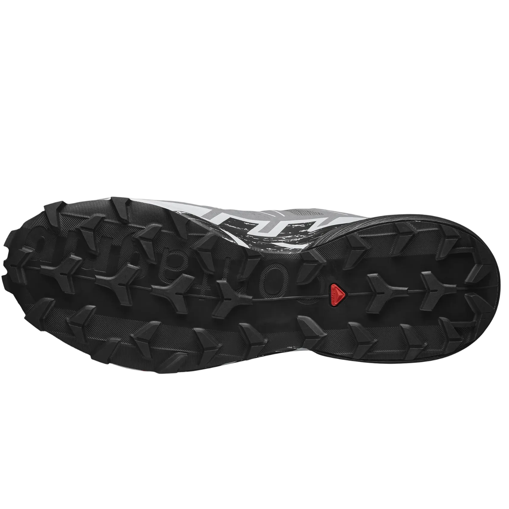 Chaussures SALOMON Speedcross 6 quiet shide/noir/bleu perle