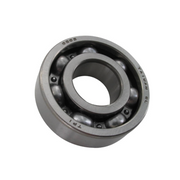 PGO T-Rex 125/150 guolis A22