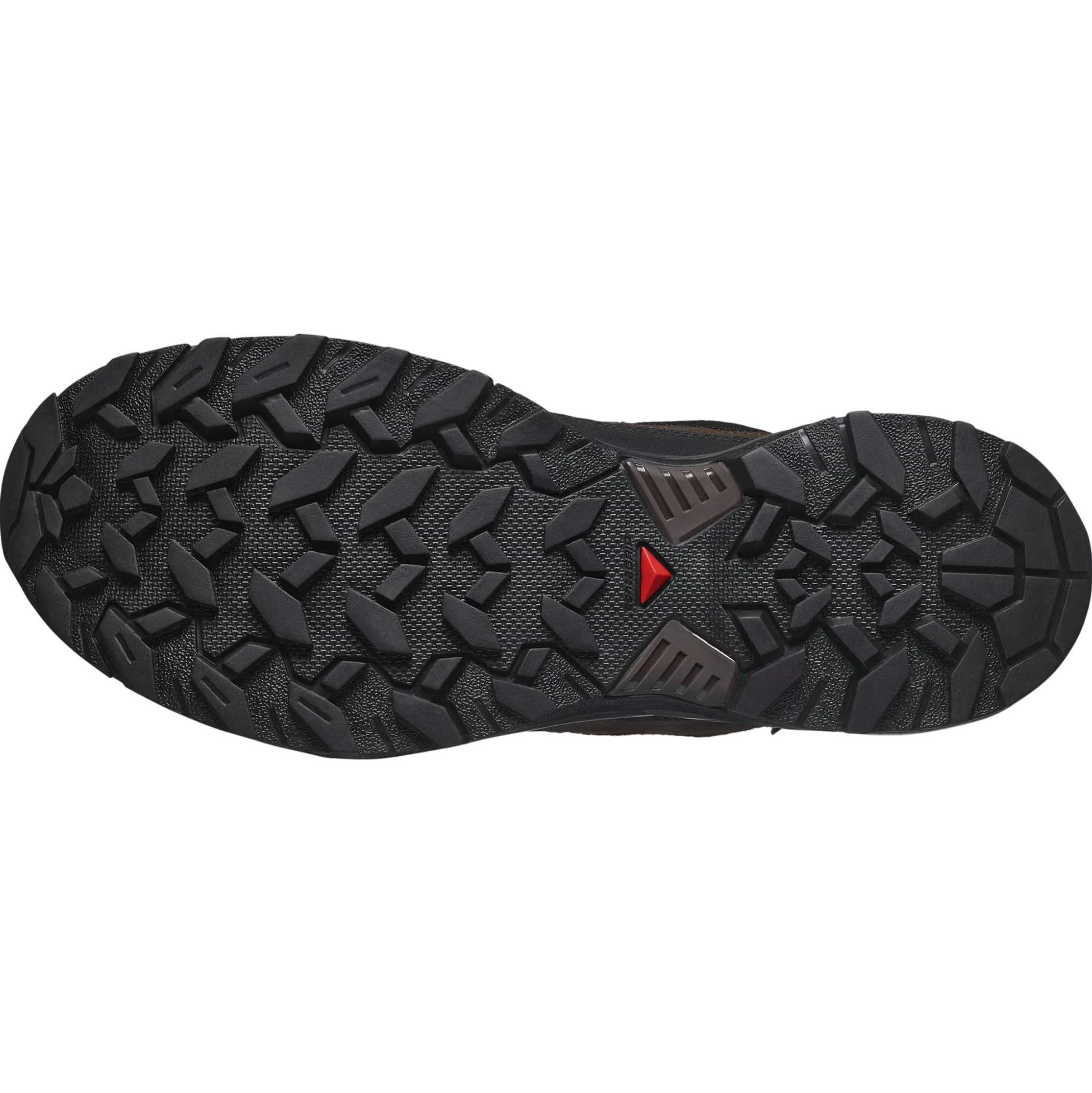 SALOMON batai X Ultra 360 LTR GTX tamsi žemė/delicioso/sharkskin