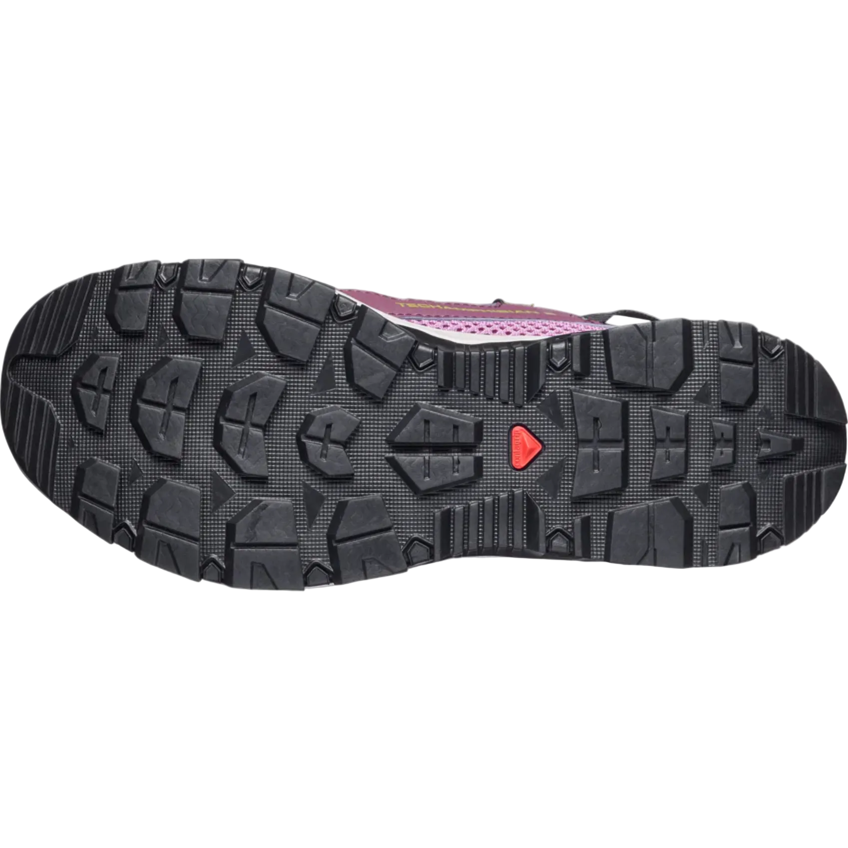 SALOMON sko Techamphibian 5 W dusky orchid/huckleberry/willow